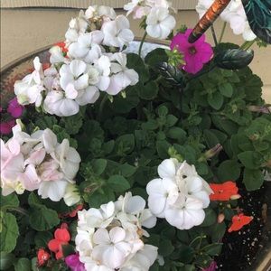 Meet your Posher, Christy